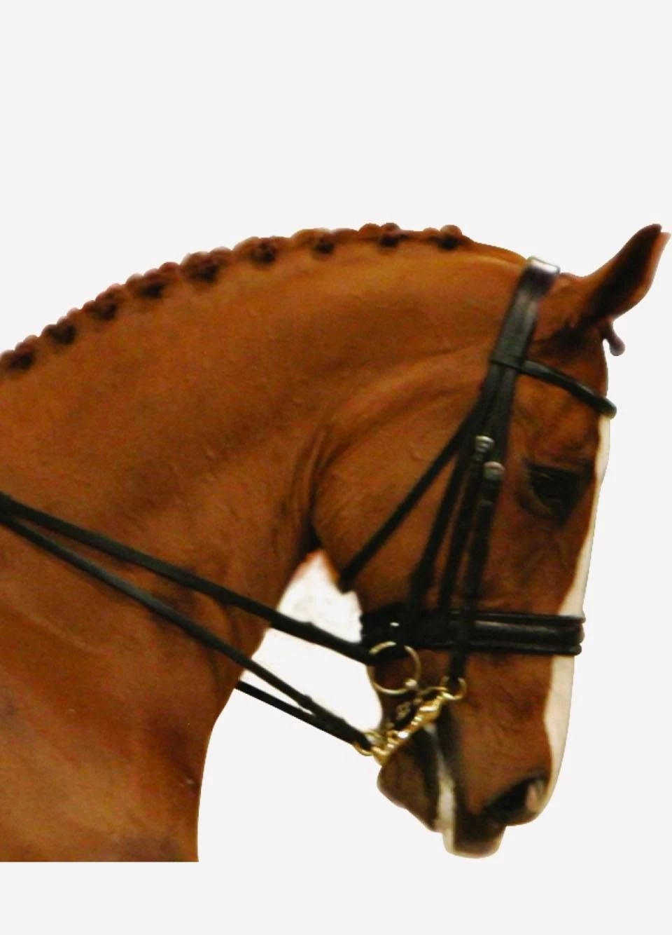 Albion KB Competition Crank Double Bridle - Black 1 Albion KB Competition Crank Double Bridle - Black