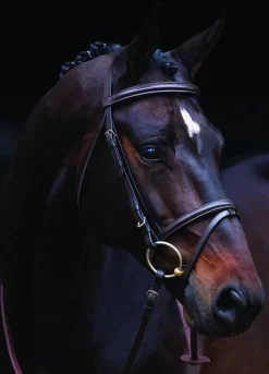 Amigo Bridle - Brown