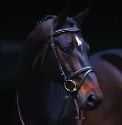 Amigo Bridle - Brown 5 Amigo Bridle - Brown -Equestrian Gear Sales amigobridlebrown