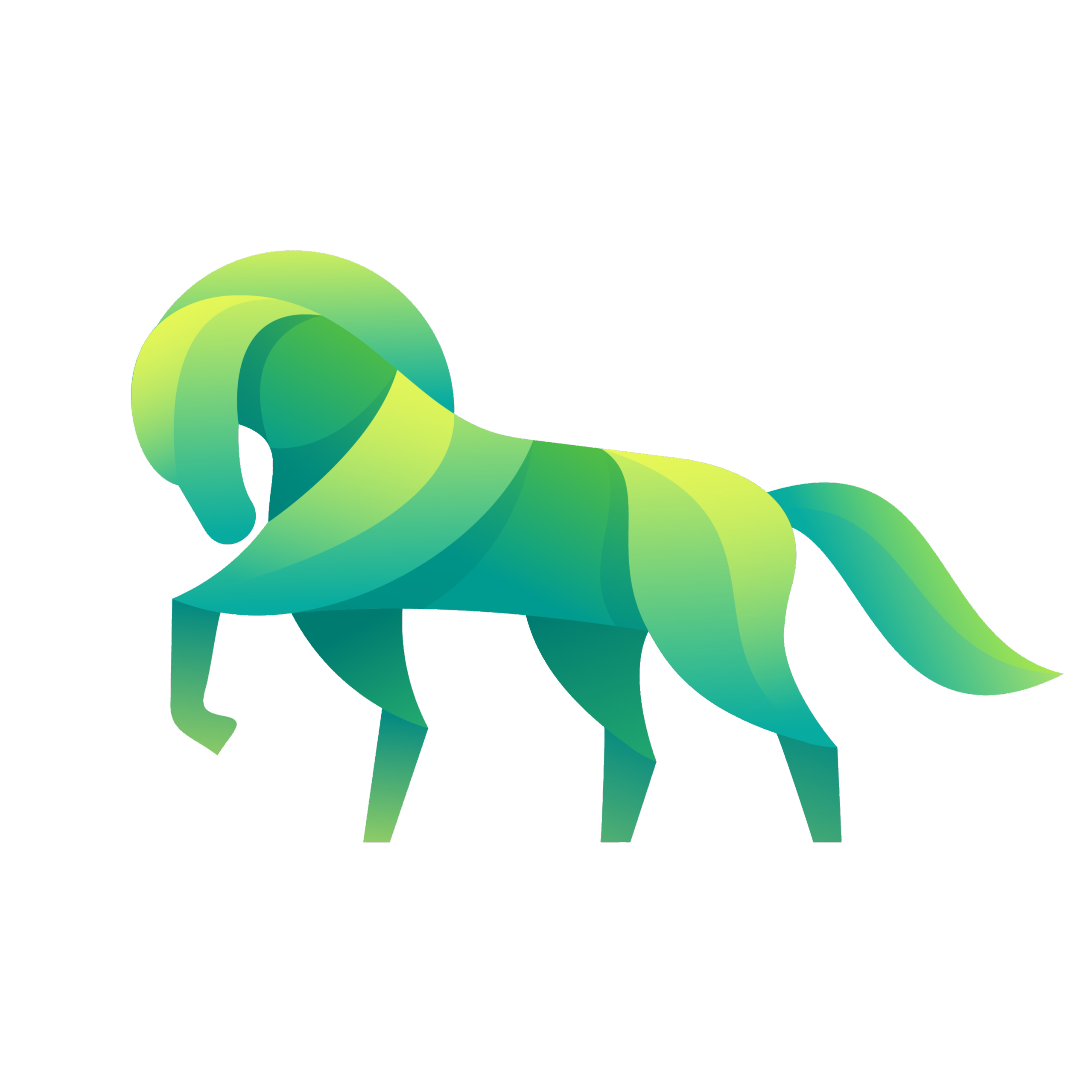 Equestrian Gear Sales