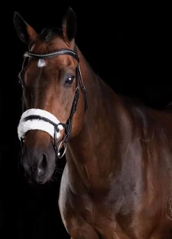 Collegiate ComFiTec Sheepskin Bridle - Black