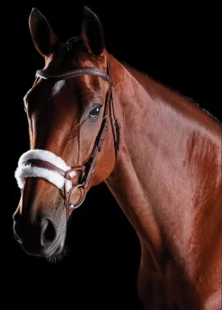 Collegiate ComFiTec Sheepskin Bridle - Brown