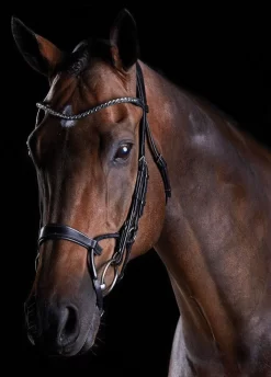 Collegiate Comfitec Crystal Training Bridle - Black