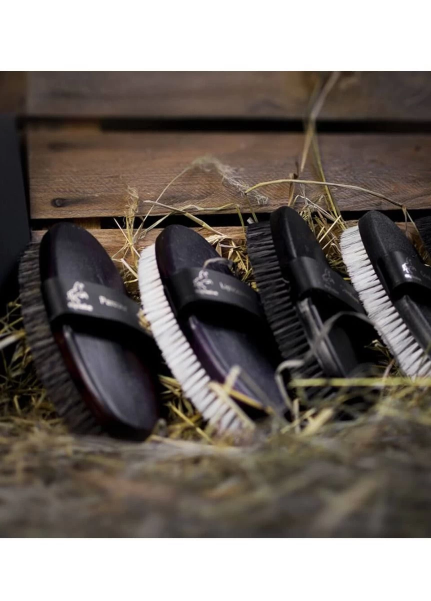 Equestrian Gear Sales -Equestrian Gear Sales eqclusivebaypack2rdy