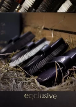 Eqclusive Brush Set For Chestnuts