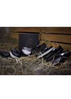 Eqclusive Universal Shining Brush Set For All Colour Coats