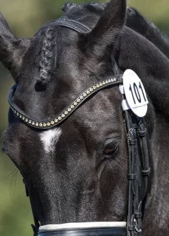 Equetech Bridle Number Holder (Pair) - White