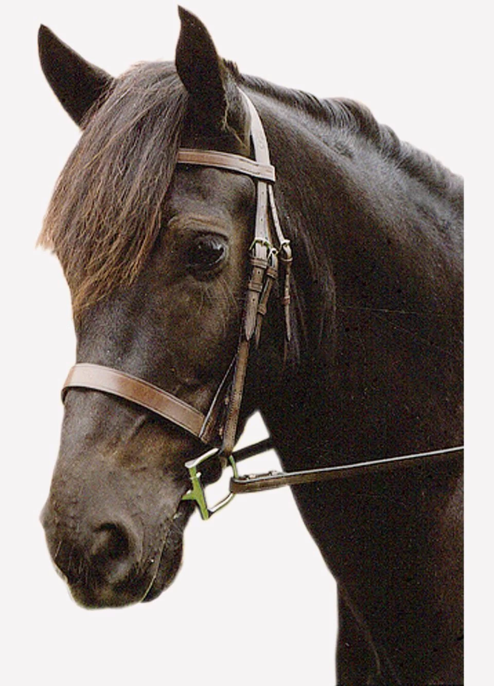 Sabre Eton Snaffle Bridle - Havana 1 Sabre Eton Snaffle Bridle - Havana