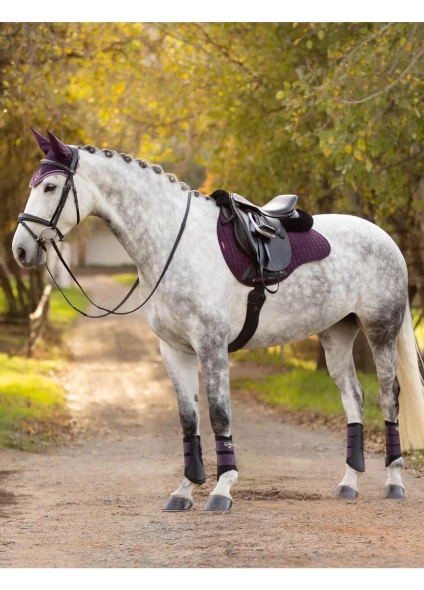 LeMieux Suede GP Square - Fig 2 LeMieux Suede GP Square - Fig - Image 2