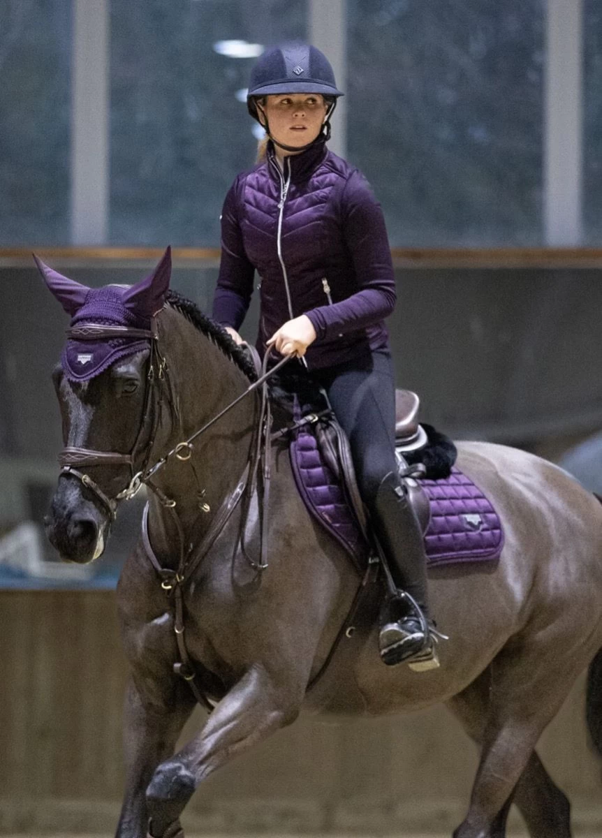 LeMieux Loire Classic CC Square - Fig 2 LeMieux Loire Classic CC Square - Fig - Image 2