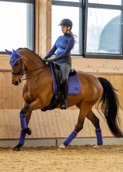 Equestrian Gear Sales -Equestrian Gear Sales lemieux spectrum bluebell 2rdy 1