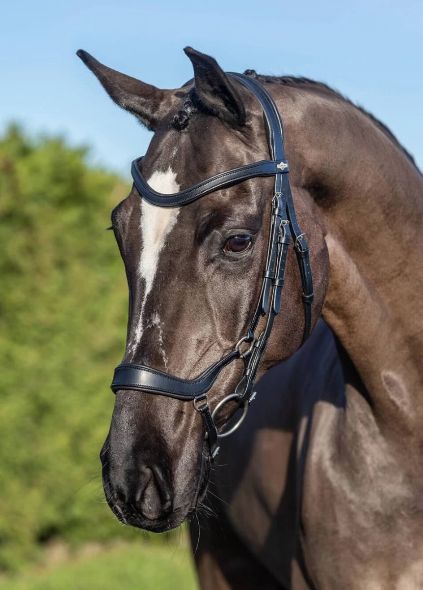 LeMieux Arika Drop Bridle - Black/Silver 1 LeMieux Arika Drop Bridle - Black/Silver