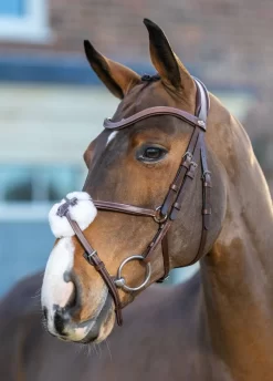 LeMieux Arika Grackle Bridle - Havana/Silver