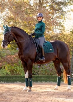 Equestrian Gear Sales -Equestrian Gear Sales lm loire dressage spruce 2rdy