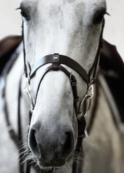 PS Of Sweden London Bridle - Black -Equestrian Gear Sales londonbrn5rdy