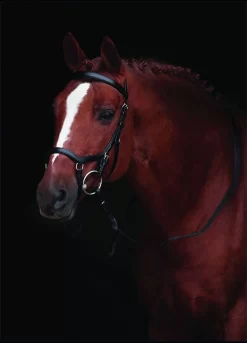 Rambo Micklem Competition Bridle - Black