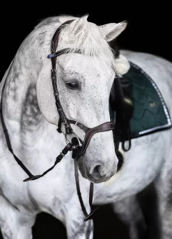 Ps Of Sweden Nirak Bridle - Brown