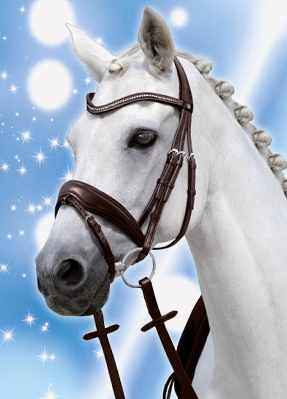 Passierblu Spirit Snaffle Bridle - Black 2 Passierblu Spirit Snaffle Bridle - Black - Image 2