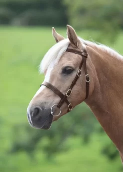 Shires Velociti GARA Plain Inhand Bridle - Havana