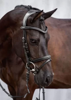 PS Of Sweden Stockholm Bridle - Black