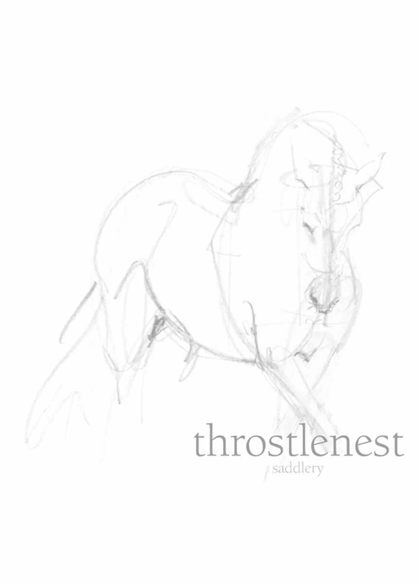 Weatherbeeta Plus Dynamic Combo Neck Lite - Sea Blue 1 Weatherbeeta Plus Dynamic Combo Neck Lite - Sea Blue